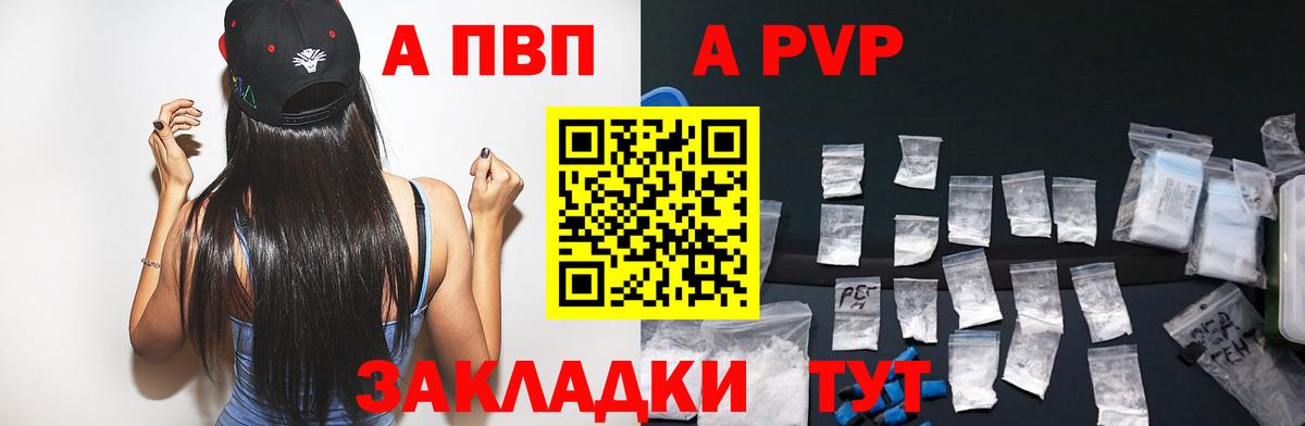 Alfa_PVP СК КРИС Луга