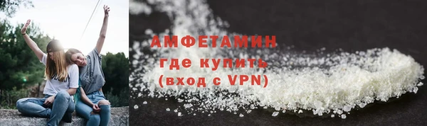 шишки Абаза