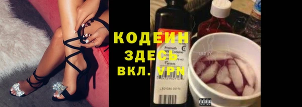 шишки Абаза