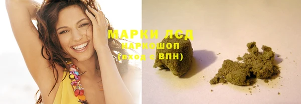 шишки Абаза