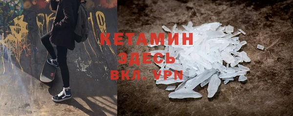 шишки Абаза