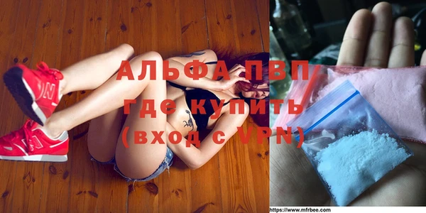 шишки Абаза