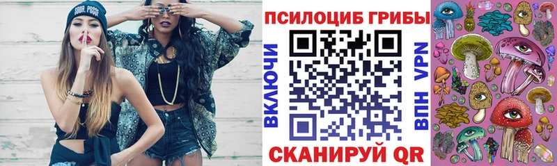 Галлюциногенные грибы прущие грибы  МЕГА сайт  Луга 