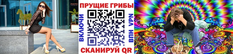 Галлюциногенные грибы мицелий Луга