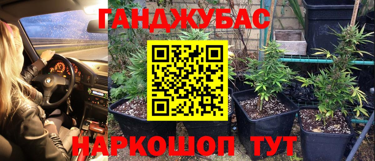 Луга  Канабис тримм  Вход с VPN  Конопля Amnesia  Конопля гибрид 